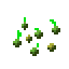Graines de blé