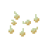 Graines de citrouille